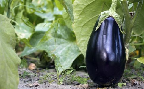 �����ӿ��Ϸ���