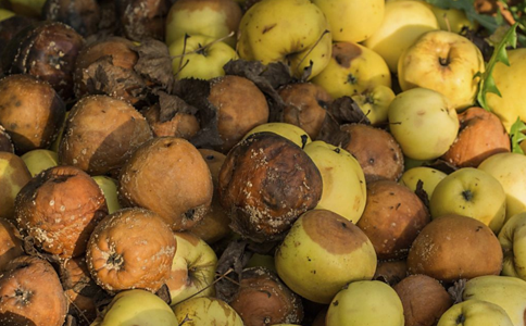 ʳ������5��ζ�� �����Ǳ�����