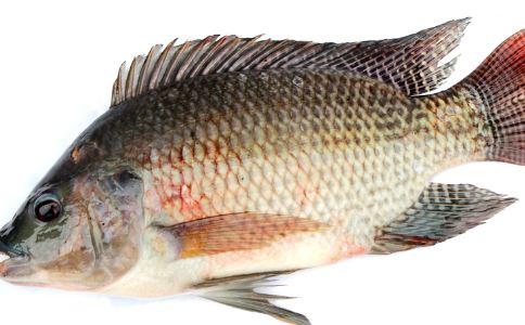 ��Ҫ�����ߴ���ʳ����