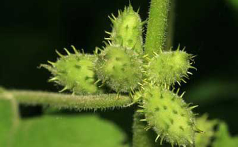 �Զ�����ˮ�ȵĽ���