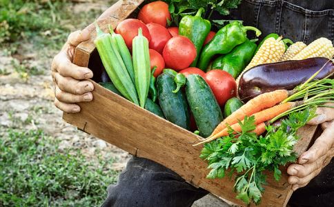 ���Ž������µ�7��������ʳ