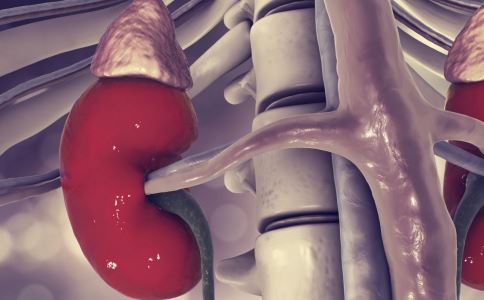 С���Ǵ������׵����Ƽ�����