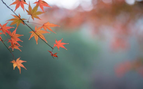 �＾������ô�� ��9������Ҫ����