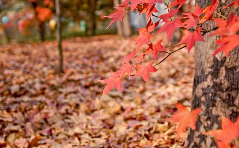 �＾������ô�� ��9������Ҫ����