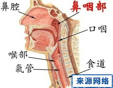 ���ʰ�����Щ֢״��