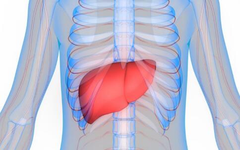 һ������Ԥ�����ָ���!