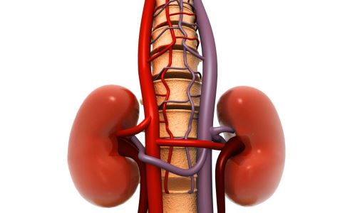 ��˥��ʳע���