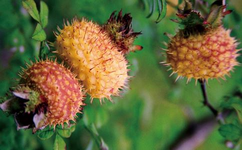 ������ˮ�ȵĽ���