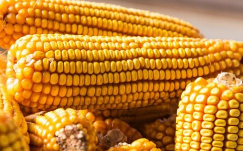 Ҫ�ٳԴ�����������