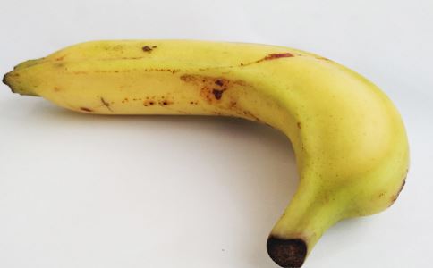 ����ڳ� �������ݵ�5�󳣼�ʳ��