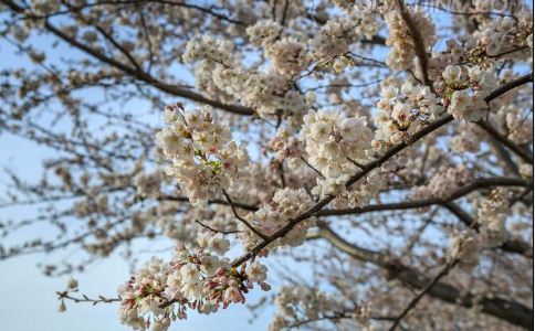 ����ҽ�ļ����ٵ������ؾ�