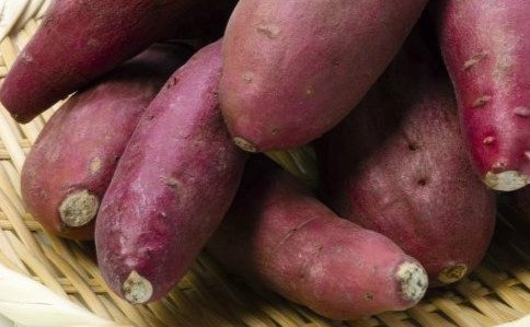 �ո�ǧ������8��ʳ��