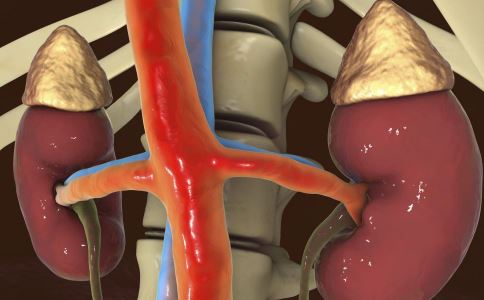 �̵�IgA���׵ı�������