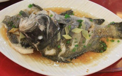 �������ʳ�״�ȫ �����̲�ƪ