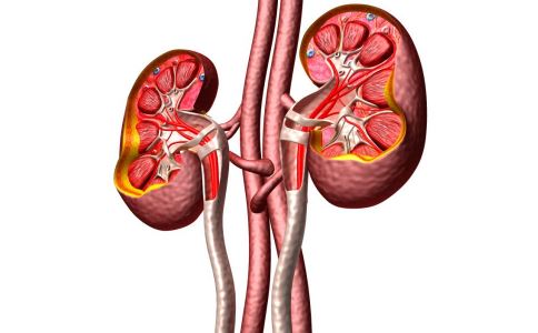 ��֪�������＾�����������̲�Ʒ