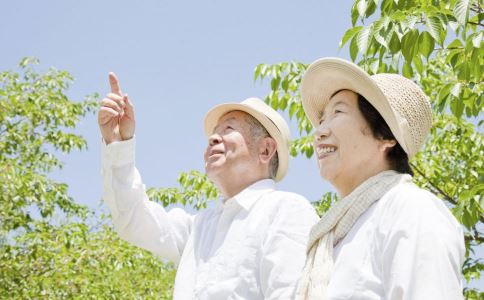 �˽���ʳ���� ���������ԲŽ���