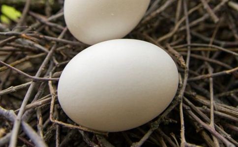 ��Щ�˲��˳Լ�����