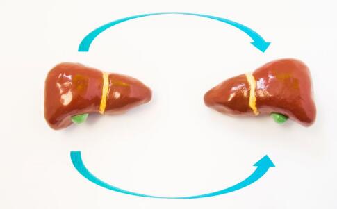 �Ҹ������������ֵ�Ƕ���