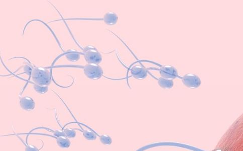 �������Թ�Ӥ��ʱ �ɷ���Ҫ������