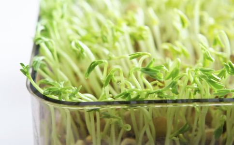 ��ĩ���� �Ե�������������