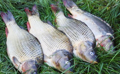 ��������� �＾������ʲô��