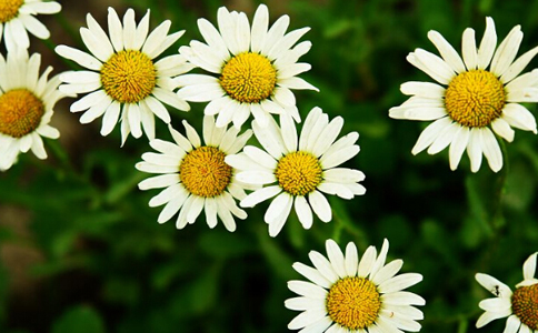 Ұ�ջ���ˮ�ȵĽ���