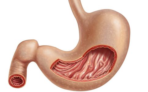 ������͵�Σ������Щ