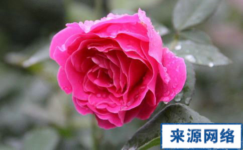 �¼�����ˮ�ȵĹ�Ч