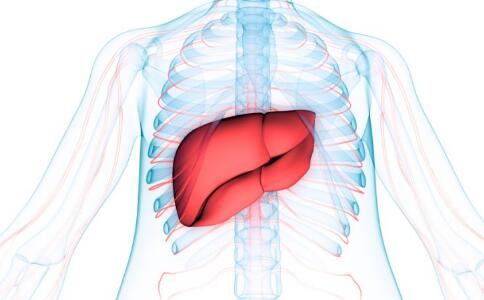 �Ҹο��������Ƶ��ѵ�