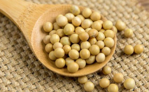 ����ƶѪ������ʳ���ط�