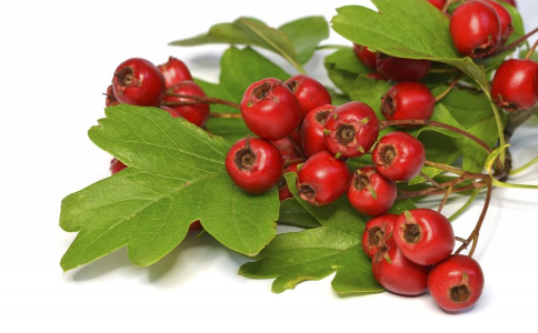 ���ڲ�����������ɽ�������