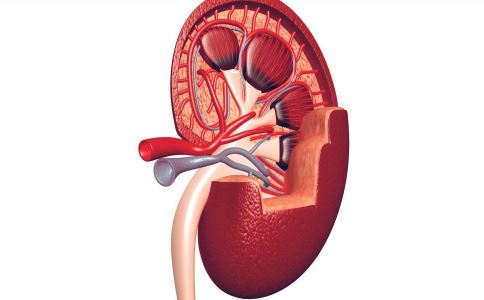 ���� ���׻�������ʳ�ﲻ����