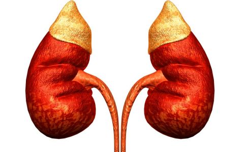 ���� ���׻�������ʳ�ﲻ����