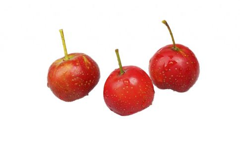 ����8��ʳ�����Ŷ�