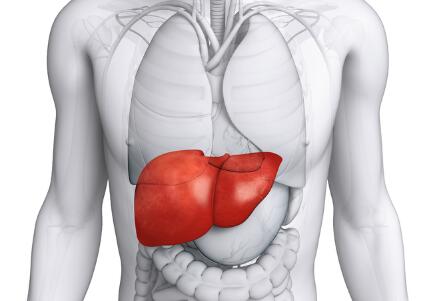 Ů�Ըΰ������ܲ�����С��