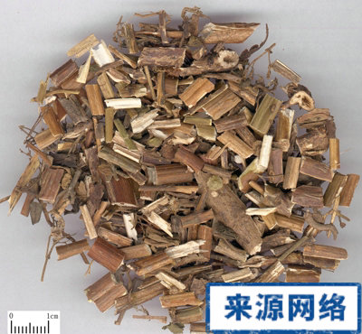 ��ҩ�ܽ��ݿ����ư�ϸ������