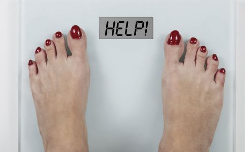 �������������ʷ� ����ȼ֬