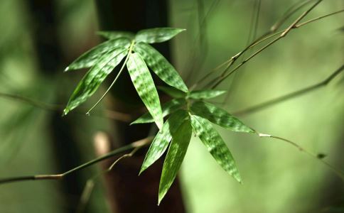 �����Ⱦ�С��ʪ�� ����Щ���������