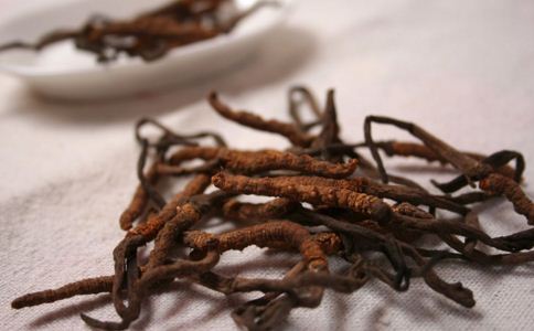 ��������������ʳ��