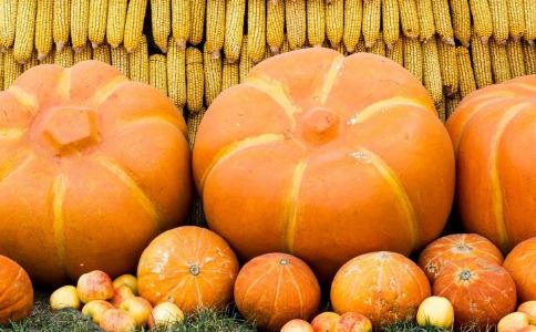 �ﶬ������Ѫ����Ϲϲ�