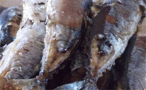 ʹ����ʳ������ ��Щ����Ҫ�μ�