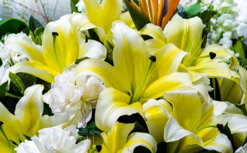 24����֮С��ܳԵ�4��ʳ��