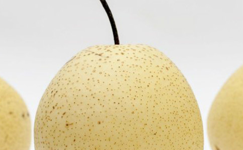 �����λ�̵��ʳ�� �Ͻ��ղ�