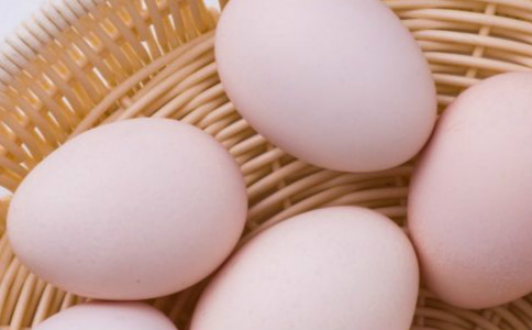 �����λ�̵��ʳ�� �Ͻ��ղ�