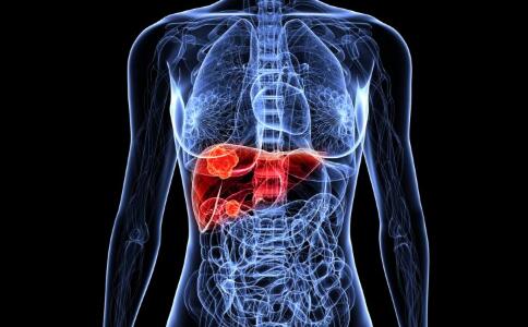 �ּ���������ѧ�Ⱦƺȳ�������