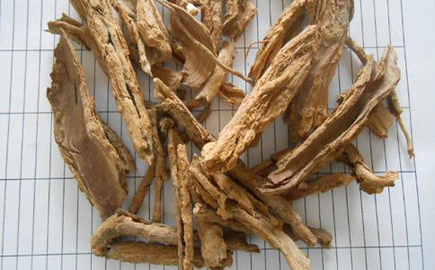 地骨皮泡水喝的功效