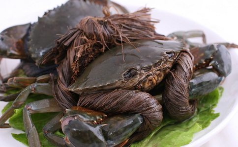 ��Щʳ�ﲻ�ʺ����� ��Ӱ�콡��