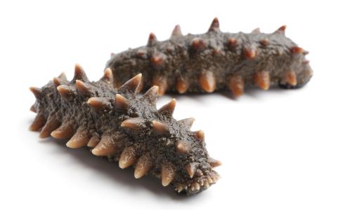 �����տ������˺����˾���