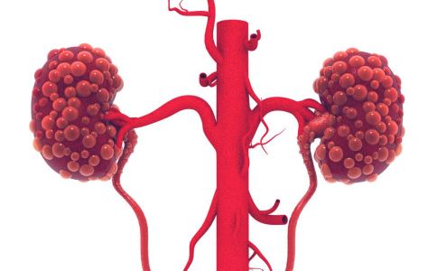 �Ƽ��������ʳ