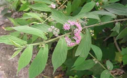 �Ϸ����ˮ�ȵĽ���